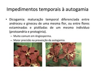 Impedimentos	
  temporais	
  à	
  autogamia	
  
•  Dicogamia:	
   maturação	
   temporal	
   diferenciada	
   entre	
  
androceu	
  e	
  gineceu	
  de	
  uma	
  mesma	
  ﬂor,	
  ou	
  entre	
  ﬂores	
  
estaminadas	
   e	
   pis8ladas	
   de	
   um	
   mesmo	
   indivíduo	
  
(protoandria	
  e	
  protoginia).	
  
–  Muito	
  comum	
  em	
  Angiosperma.	
  
–  Maior	
  precisão	
  na	
  prevenção	
  da	
  autogamia.	
  
 
