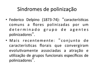 Síndromes	
  de	
  polinização	
  
•  Federico	
   Delpino	
   (1873-­‐74):	
   “caracterís8cas	
  
comuns	
   a	
   ﬂores	
   polinizadas	
   por	
   um	
  
d e t e r m i n a d o	
   g r u p o	
   d e	
   a g e n t e s	
  
polinizadores”.	
  
•  Mais	
   recentemente:	
   “conjunto	
   de	
  
caracterís8cas	
   ﬂorais	
   que	
   convergiram	
  
evolu8vamente	
   associadas	
   a	
   atração	
   e	
  
u8lização	
  de	
  grupos	
  funcionais	
  especíﬁcos	
  de	
  
polinizadores”.	
  
 