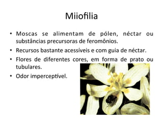 Miioﬁlia	
  
•  Moscas	
   se	
   alimentam	
   de	
   pólen,	
   néctar	
   ou	
  
substâncias	
  precursoras	
  de	
  feromônios.	
  
•  Recursos	
  bastante	
  acessíveis	
  e	
  com	
  guia	
  de	
  néctar.	
  
•  Flores	
   de	
   diferentes	
   cores,	
   em	
   forma	
   de	
   prato	
   ou	
  
tubulares.	
  
•  Odor	
  impercepVvel.	
  
 