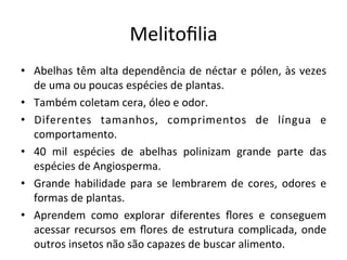 Melitoﬁlia	
  
•  Abelhas	
  têm	
  alta	
  dependência	
  de	
  néctar	
  e	
  pólen,	
  às	
  vezes	
  
de	
  uma	
  ou	
  poucas	
  espécies	
  de	
  plantas.	
  
•  Também	
  coletam	
  cera,	
  óleo	
  e	
  odor.	
  
•  Diferentes	
   tamanhos,	
   comprimentos	
   de	
   língua	
   e	
  
comportamento.	
  
•  40	
   mil	
   espécies	
   de	
   abelhas	
   polinizam	
   grande	
   parte	
   das	
  
espécies	
  de	
  Angiosperma.	
  
•  Grande	
  habilidade	
  para	
  se	
  lembrarem	
  de	
  cores,	
  odores	
  e	
  
formas	
  de	
  plantas.	
  
•  Aprendem	
   como	
   explorar	
   diferentes	
   ﬂores	
   e	
   conseguem	
  
acessar	
  recursos	
  em	
  ﬂores	
  de	
  estrutura	
  complicada,	
  onde	
  
outros	
  insetos	
  não	
  são	
  capazes	
  de	
  buscar	
  alimento.	
  
 