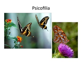 Psicoﬁlia	
  
 