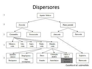 Cazowo	
  et	
  al.	
  subme8do	
  
Dispersores	
  
 