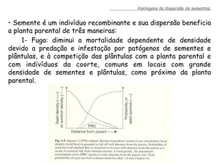 •  Semente é um indivíduo recombinante e sua dispersão beneficia
a planta parental de três maneiras:
1- Fuga: diminui a mortalidade dependente de densidade
devido a predação e infestação por patógenos de sementes e
plântulas, e à competição das plântulas com a planta parental e
com indivíduos da coorte, comuns em locais com grande
densidade de sementes e plântulas, como próximo da planta
parental.
Vantagens da dispersão de sementes.
 