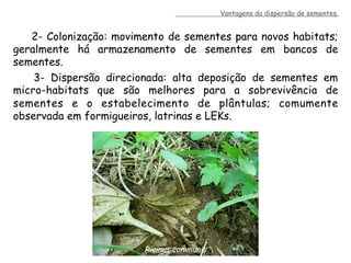 2- Colonização: movimento de sementes para novos habitats;
geralmente há armazenamento de sementes em bancos de
sementes.
3- Dispersão direcionada: alta deposição de sementes em
micro-habitats que são melhores para a sobrevivência de
sementes e o estabelecimento de plântulas; comumente
observada em formigueiros, latrinas e LEKs.
Ricinus communis
Vantagens da dispersão de sementes.
 
