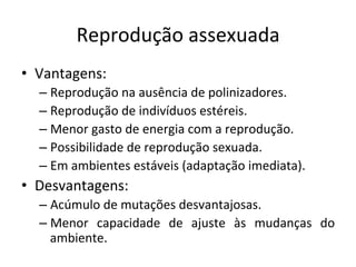 Reprodução	
  assexuada	
  
•  Vantagens:	
  
– Reprodução	
  na	
  ausência	
  de	
  polinizadores.	
  
– Reprodução	
  de	
  indivíduos	
  estéreis.	
  
– Menor	
  gasto	
  de	
  energia	
  com	
  a	
  reprodução.	
  
– Possibilidade	
  de	
  reprodução	
  sexuada.	
  
– Em	
  ambientes	
  estáveis	
  (adaptação	
  imediata).	
  
•  Desvantagens:	
  
– Acúmulo	
  de	
  mutações	
  desvantajosas.	
  
– Menor	
   capacidade	
   de	
   ajuste	
   às	
   mudanças	
   do	
  
ambiente.	
  
 
