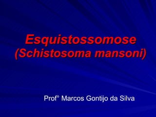Esquistossomose (Schistosoma mansoni) Prof° Marcos Gontijo da Silva 