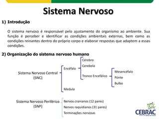 Sistema Nervoso
1) Introdução
O sistema nervoso é responsável pelo ajustamento do organismo ao ambiente. Sua
função é perc...