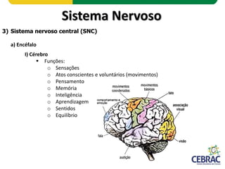 Sistema Nervoso
3) Sistema nervoso central (SNC)
a) Encéfalo
I) Cérebro
 Tálamo e Hipotálamo (presentes na região inferio...
