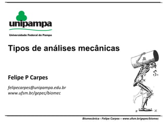 Felipe P Carpes [email_address] www.ufsm.br/gepec/biomec  Tipos de análises mecânicas 