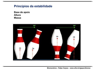 Princípios da estabilidade Base de apoio Altura Massa 