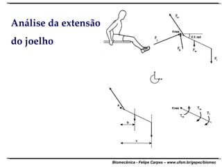 Análise da extensão do joelho 