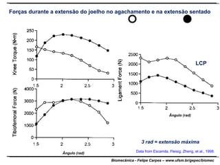 Data from Escamila, Fleisig, Zheng, et al., 1998. Ângulo (rad) Ângulo (rad) Forças durante a extensão do joelho no agachamento e na extensão sentado 3 rad = extensão máxima LCP 