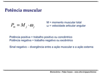 Potência muscular M = momento muscular total ω = velocidade articular angular Potência positiva = trabalho positivo ou concêntrico Potência negativa = trabalho negativo ou excêntrico Sinal negativo – divergência entre a ação muscular e a ação externa 