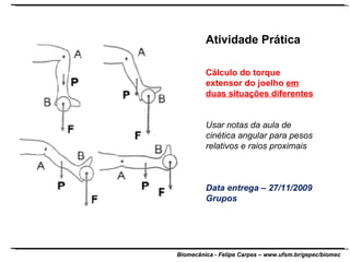 Atividade Prática Cálculo do torque extensor do joelho  em duas situações diferentes Usar notas da aula de cinética angular para pesos relativos e raios proximais Data entrega – 27/11/2009 Grupos 