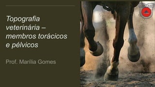 Topografia
veterinária –
membros torácicos
e pélvicos