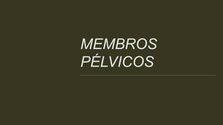 MEMBROS
PÉLVICOS