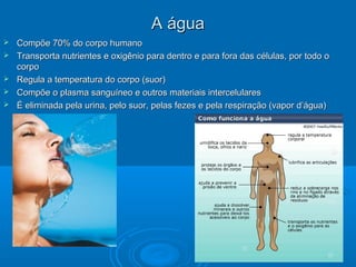 A águaA água
 Compõe 70% do corpo humanoCompõe 70% do corpo humano
 Transporta nutrientes e oxigênio para dentro e para fora das células, por todo oTransporta nutrientes e oxigênio para dentro e para fora das células, por todo o
corpocorpo
 Regula a temperatura do corpo (suor)Regula a temperatura do corpo (suor)
 Compõe o plasma sanguíneo e outros materiais intercelularesCompõe o plasma sanguíneo e outros materiais intercelulares
 É eliminada pela urina, pelo suor, pelas fezes e pela respiração (vapor d’água)É eliminada pela urina, pelo suor, pelas fezes e pela respiração (vapor d’água)
 