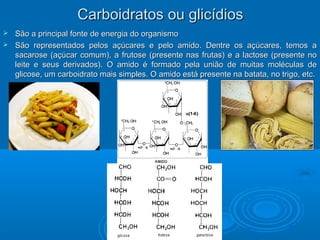 Carboidratos ou glicídiosCarboidratos ou glicídios
 São a principal fonte de energia do organismoSão a principal fonte de energia do organismo
 São representados pelos açúcares e pelo amido. Dentre os açúcares, temos aSão representados pelos açúcares e pelo amido. Dentre os açúcares, temos a
sacarose (açúcar comum), a frutose (presente nas frutas) e a lactose (presente nosacarose (açúcar comum), a frutose (presente nas frutas) e a lactose (presente no
leite e seus derivados). O amido é formado pela união de muitas moléculas deleite e seus derivados). O amido é formado pela união de muitas moléculas de
glicose, um carboidrato mais simples. O amido está presente na batata, no trigo, etc.glicose, um carboidrato mais simples. O amido está presente na batata, no trigo, etc.
 