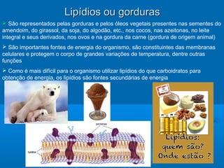 Lipídios ou gordurasLipídios ou gorduras
 São representados pelas gorduras e pelos óleos vegetais presentes nas sementes do
amendoim, do girassol, da soja, do algodão, etc., nos cocos, nas azeitonas, no leite
integral e seus derivados, nos ovos e na gordura da carne (gordura de origem animal)
 São importantes fontes de energia do organismo, são constituintes das membranas
celulares e protegem o corpo de grandes variações de temperatura, dentre outras
funções
 Como é mais difícil para o organismo utilizar lipídios do que carboidratos para
obtenção de energia, os lipídios são fontes secundárias de energia
 