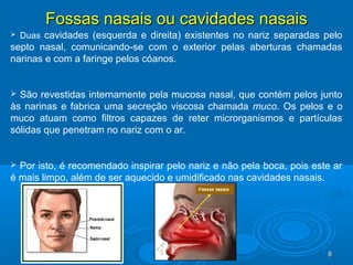 88
Fossas nasais ou cavidades nasaisFossas nasais ou cavidades nasais
 Duas cavidades (esquerda e direita) existentes no nariz separadas pelo
septo nasal, comunicando-se com o exterior pelas aberturas chamadas
narinas e com a faringe pelos cóanos.
 São revestidas internamente pela mucosa nasal, que contém pelos junto
às narinas e fabrica uma secreção viscosa chamada muco. Os pelos e o
muco atuam como filtros capazes de reter microrganismos e partículas
sólidas que penetram no nariz com o ar.
 Por isto, é recomendado inspirar pelo nariz e não pela boca, pois este ar
é mais limpo, além de ser aquecido e umidificado nas cavidades nasais.
 