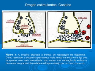 Drogas estimulantes: Cocaína 
Figura 3: A cocaína bloqueia a bomba de recaptação de dopamina. 
Como resultado, a dopamina permanece mais tempo na fenda e se liga aos 
receptores com mais intensidade. Isso causa uma sensação de euforia e 
bem-estar de grande intensidade e reforça o desejo por um novo consumo. 
 
