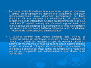  A cocaína, estimula diretamente o sistema recompensa, lliiggaannddoo--ssee 
àà bboommbbaa ddee rreeccaappttaaççããoo ddee ddooppaammiinnaa ee bbllooqquueeaannddoo ssuuaa aaççããoo.. 
CCoonnsseeqqüüeenntteemmeennttee,, mmaaiiss ddooppaammiinnaa ppeerrmmaanneecceerráá nnaa ffeennddaa 
ssiinnááppttiiccaa.. HHáá uumm aauummeennttoo ddaa ccoonncceennttrraaççããoo,, ddoo tteemmppoo ddee 
ppeerrmmaannêênncciiaa ee ddaa iinntteennssiiddaaddee ddee aaççããoo ddaa ddooppaammiinnaa ssoobbrree ooss sseeuuss 
rreecceeppttoorreess.. OO rreessuullttaaddoo éé uumm qquuaaddrroo ddee eeuuffoorriiaa ee pprraazzeerr mmuuiittoo mmaaiiss 
iinntteennssoo ddoo qquuee aass ssiittuuaaççõõeess qquuee eessttiimmuullaamm oo ssiisstteemmaa nnaattuurraallmmeennttee.. 
IIssssoo rreeffoorrççaa aa bbuussccaa ppeellaa ssuubbssttâânncciiaa ppssiiccooaattiivvaa,, aa ffiimm ddee ssaattiissffaazzeerr 
aa nneecceessssiiddaaddee ddaa rreeccoommppeennssaa ddeesseennccaaddeeaaddaa.. 
 AA ccooccaaíínnaa ttaammbbéémm tteemm ggrraannddee aaffiinniiddaaddee ppeelloo ssiisstteemmaa ddee 
nneeuurroottrraannssmmiissssããoo ddee sseerroottoonniinnaa,, rreessppoonnssáávveell ppeellaa mmoodduullaaççããoo ddoo 
hhuummoorr ,, oo ccoonnttrroollee ddooss iimmppuullssooss ee ccaappaazz ddee eessttiimmuullaarr ttaammbbéémm oo 
ssiisstteemmaa ddee rreeccoommppeennssaa.. AA aaççããoo ddaa ccooccaaíínnaa nneessssee ssiisstteemmaa ttaammbbéémm 
ssee ddáá ppoorr mmeeiioo ddoo bbllooqquueeiioo ddaa rreeccaappttaaççããoo ddee sseerroottoonniinnaa.. AA 
aaffiinniiddaaddee ddaa ccooccaaíínnaa ppoorr eessssaa bboommbbaa ddee rreeccaappttaaççããoo éé mmuuiittoo mmaaiiss 
iinntteennssaa ssee ccoommppaarraaddaa aaooss aannttiiddeepprreessssiivvooss qquuee aattuuaamm nneessssee 
mmeessmmoo ssííttiioo.. 
 
