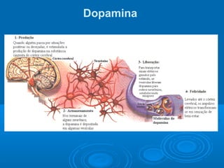 Dopamina 
 