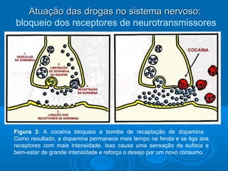 AAttuuaaççããoo ddaass ddrrooggaass nnoo ssiisstteemmaa nneerrvvoossoo:: 
bloqueio dos receptores de neurotransmissores 
Figura 3: A cocaína bloqueia a bomba de recaptação de dopamina. 
Como resultado, a dopamina permanece mais tempo na fenda e se liga aos 
receptores com mais intensidade. Isso causa uma sensação de euforia e 
bem-estar de grande intensidade e reforça o desejo por um novo consumo. 
 