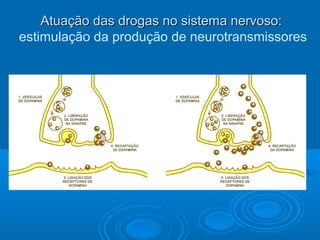AAttuuaaççããoo ddaass ddrrooggaass nnoo ssiisstteemmaa nneerrvvoossoo:: 
estimulação da produção de neurotransmissores 
 