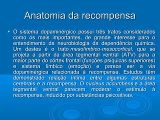 AAnnaattoommiiaa ddaa rreeccoommppeennssaa 
 OO ssiisstteemmaa ddooppaammiinnéérrggiiccoo ppoossssuuii ttrrêêss ttrraattooss ccoonnssiiddeerraaddooss 
ccoommoo ooss mmaaiiss iimmppoorrttaanntteess,, ddee ggrraannddee iinntteerreessssee ppaarraa oo 
eenntteennddiimmeennttoo ddaa nneeuurroobbiioollooggiiaa ddaa ddeeppeennddêênncciiaa qquuíímmiiccaa.. 
UUmm ddeesstteess éé oo ttrraattoo mmeessoollíímmbbiiccoo--mmeessooccoorrttiiccaall,, qquuee ssee 
pprroojjeettaa aa ppaarrttiirr ddaa áárreeaa tteeggmmeennttaall vveennttrraall ((AATTVV)) ppaarraa aa 
mmaaiioorr ppaarrttee ddoo ccóórrtteexx ffrroonnttaall ((ffuunnççõõeess ppssííqquuiiccaass ssuuppeerriioorreess)) 
ee ssiisstteemmaa llíímmbbiiccoo ((eemmooççããoo)) ee ppaarreeccee sseerr aa vviiaa 
ddooppaammiinnéérrggiiccaa rreellaacciioonnaaddaa àà rreeccoommppeennssaa.. EEssttuuddooss ttêêmm 
ddeemmoonnssttrraaddoo rreellaaççããoo íínnttiimmaa eennttrree aallgguummaass eessttrruuttuurraass 
cceerreebbrraaiiss ee aa rreeccoommppeennssaa.. OO nnuucclleeuuss aaccccuummbbeennss ee aa áárreeaa 
tteeggmmeennttaall vveennttrraall ppaarreecceemm mmooddeerraarr oo eessttíímmuulloo àà 
rreeccoommppeennssaa,, iinndduuzziiddoo ppoorr ssuubbssttâânncciiaass ppssiiccooaattiivvaass.. 
 