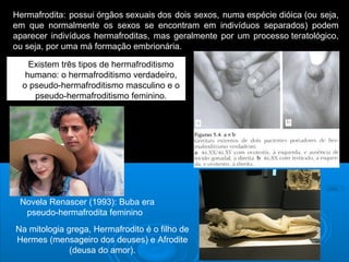 Hermafrodita: possui órgãos sexuais dos dois sexos, numa espécie dióica (ou seja, 
em que normalmente os sexos se encontram em indivíduos separados) podem 
aparecer indivíduos hermafroditas, mas geralmente por um processo teratológico, 
ou seja, por uma má formação embrionária. 
Existem três tipos de hermafroditismo 
humano: o hermafroditismo verdadeiro, 
o pseudo-hermafroditismo masculino e o 
pseudo-hermafroditismo feminino. 
Novela Renascer (1993): Buba era 
pseudo-hermafrodita feminino 
Na mitologia grega, Hermafrodito é o filho de 
Hermes (mensageiro dos deuses) e Afrodite 
(deusa do amor). 
 