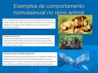 Exemplos ddee ccoommppoorrttaammeennttoo 
hhoommoosssseexxuuaall nnoo rreeiinnoo aanniimmaall 
 