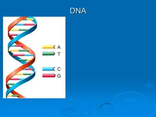 DNA
 
