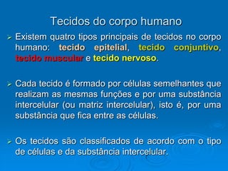 Tecidos do corpo humano
 Existem quatro tipos principais de tecidos no corpo
humano: tecido epitelial, tecido conjuntivo,
tecido muscular e tecido nervoso.
 Cada tecido é formado por células semelhantes que
realizam as mesmas funções e por uma substância
intercelular (ou matriz intercelular), isto é, por uma
substância que fica entre as células.
 Os tecidos são classificados de acordo com o tipo
de células e da substância intercelular.
 