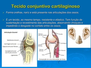 Tecido conjuntivo cartilaginoso
 Forma orelhas, nariz e está presente nas articulações dos ossos.
 É um tecido, ao mesmo tempo, resistente e elástico. Tem função de
sustentação e revestimento das articulações, absorvendo choques e
impedindo o desgaste no contato entre os ossos.
 