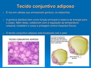 Tecido conjuntivo adiposo
 É rico em células que armazenam gordura, os adipócitos.
 A gordura (lipídios) tem como função principal a reserva de energia para
o corpo. Além disso, colaboram com a regulação da temperatura
corporal, modelam o corpo e protegem contra impactos físicos.
 O tecido conjuntivo adiposo está localizado sob a pele.
 
