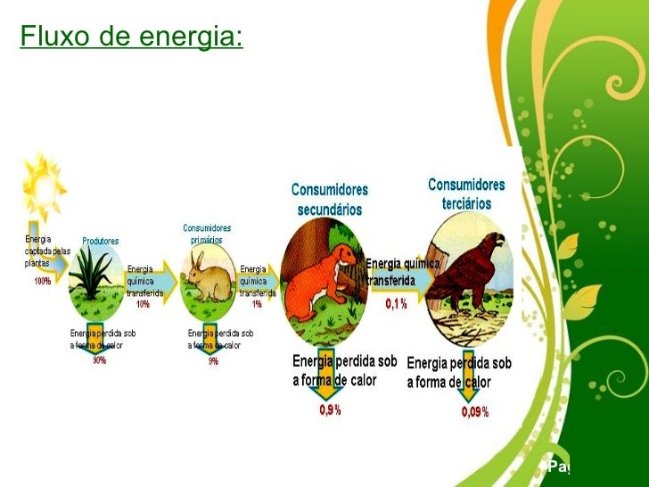 Em Relação Ao Fluxo De Energia Na Biosfera Considere Que