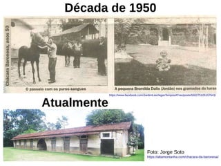 Década de 1950
Atualmente
Foto: Jorge Soto
https://altamontanha.com/chacara-da-baronesa/
https://www.facebook.com/JardimLasVegasTemposATras/posts/550275105157641/
 