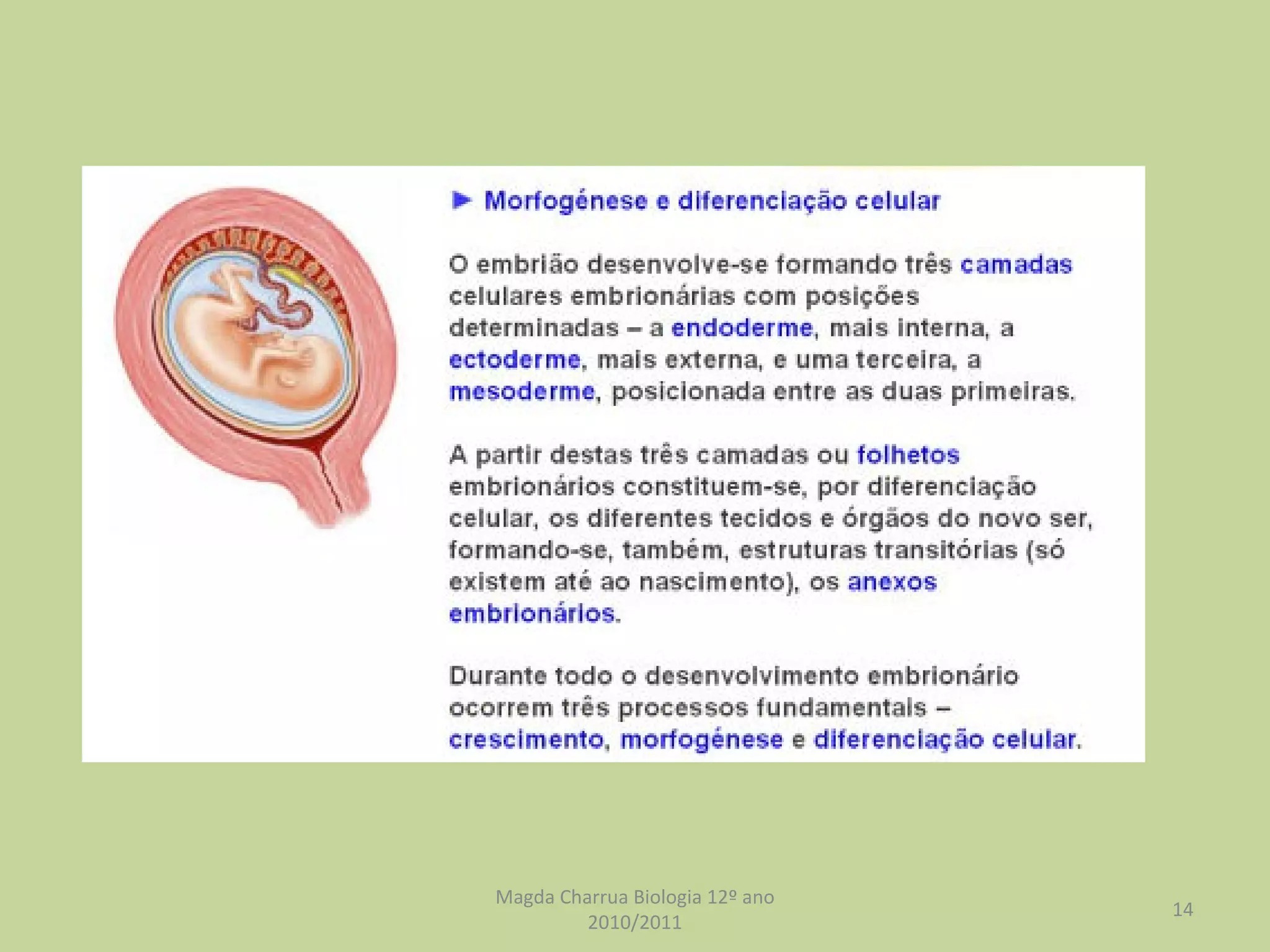 Magda Charrua Biologia 12º ano 2010/2011 