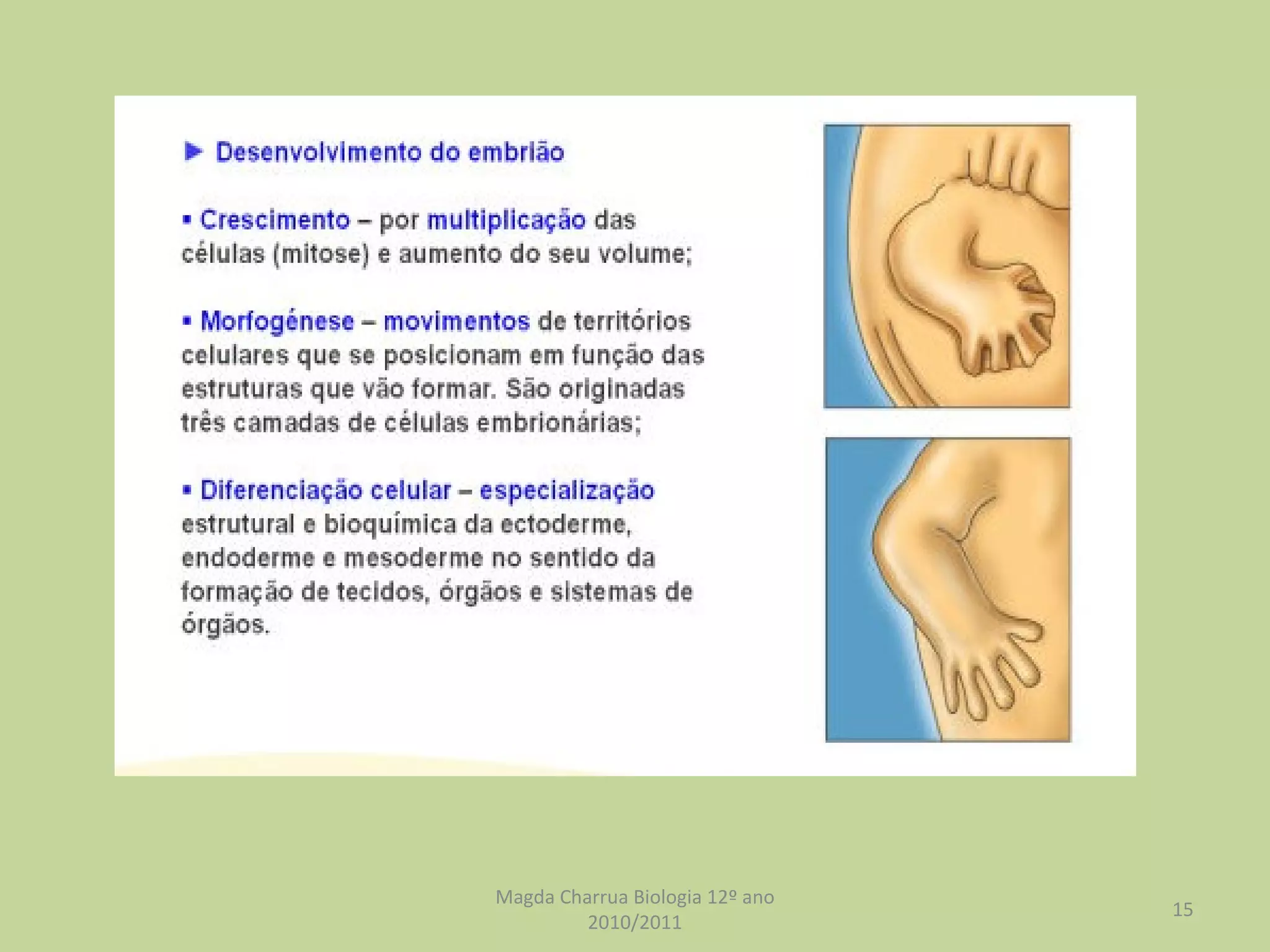 Magda Charrua Biologia 12º ano 2010/2011 