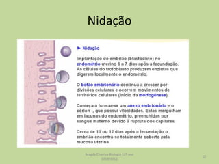 Nidação Magda Charrua Biologia 12º ano 2010/2011 