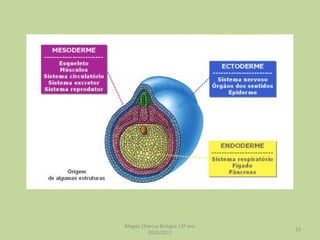 Magda Charrua Biologia 12º ano 2010/2011 