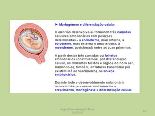 Magda Charrua Biologia 12º ano 2010/2011 