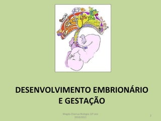 DESENVOLVIMENTO EMBRIONÁRIO E GESTAÇÃO Magda Charrua Biologia 12º ano 2010/2011 