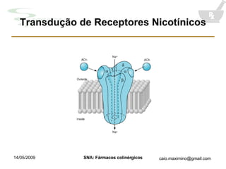 Transdução de Receptores Nicotínicos 