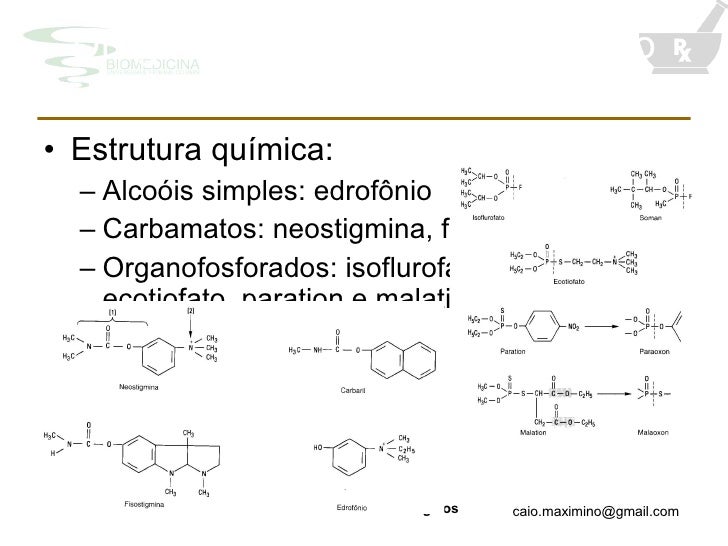 Fumagem deixada para beber