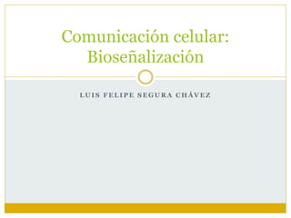 L U I S F E L I P E S E G U R A C H Á V E Z
Comunicación celular:
Bioseñalización
 