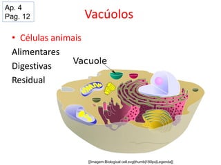 Vacúolos
• Células animais
Alimentares
Digestivas
Residual
[[Imagem:Biological cell.svg|thumb|180px|Legenda]]
Ap. 4
Pag. 12
 