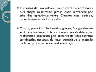  Os restos de uma refeição levam cerca de nove horas
para chegar ao intestino grosso, onde permanece por
três dias aproximadamente. Durante este período,
parte da água e sais é absorvida.
 O reto, parte final do intestino grosso, fica geralmente
vazio, enchendo-se de fezes pouco antes da defecação.
A distensão provocada pela presença de fezes estimula
terminações nervosas do reto, permitindo a expulsão
de fezes, processo denominado defecação.
 