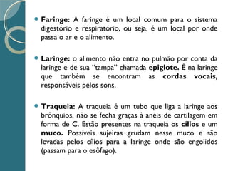  Faringe: A faringe é um local comum para o sistema
digestório e respiratório, ou seja, é um local por onde
passa o ar e o alimento.
 Laringe: o alimento não entra no pulmão por conta da
laringe e de sua “tampa” chamada epiglote. É na laringe
que também se encontram as cordas vocais,
responsáveis pelos sons.
 Traqueia: A traqueia é um tubo que liga a laringe aos
brônquios, não se fecha graças à anéis de cartilagem em
forma de C. Estão presentes na traqueia os cílios e um
muco. Possíveis sujeiras grudam nesse muco e são
levadas pelos cílios para a laringe onde são engolidos
(passam para o esôfago).
 